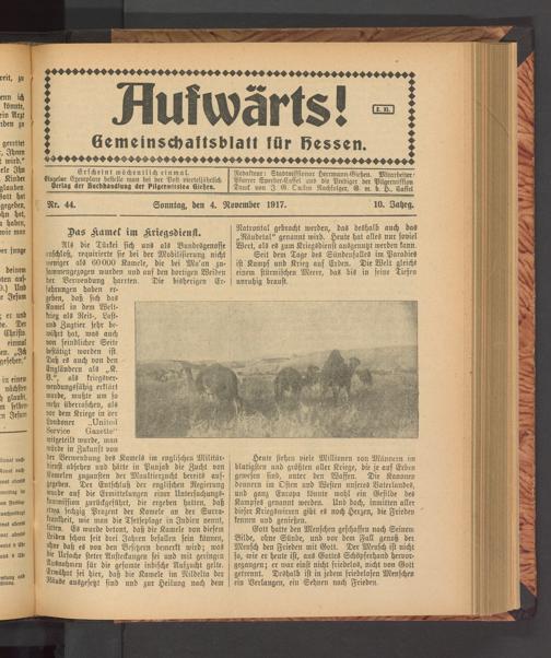 Zur Seitenansicht