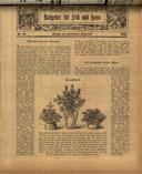 Titelblatt