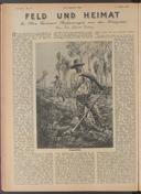 Seite 666