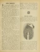 Seite 119
